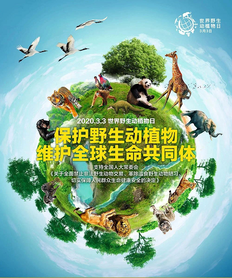 伟德BETVlCTOR网页版(1946)官网登录入口